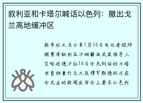 叙利亚和卡塔尔喊话以色列：撤出戈兰高地缓冲区