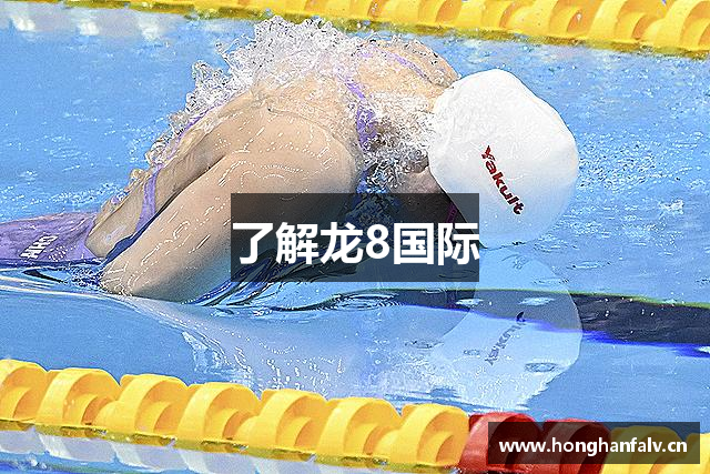 了解龙8国际